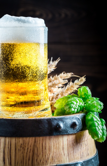 맥주효모