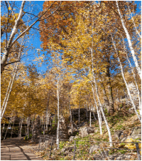 νλ΄μ² μ κ²½μ¬μ§