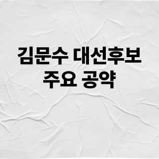 김문수 대선 후보 주요 공약