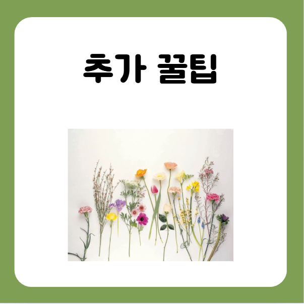 꽃다발 오래 보관하는 추가 꿀팁