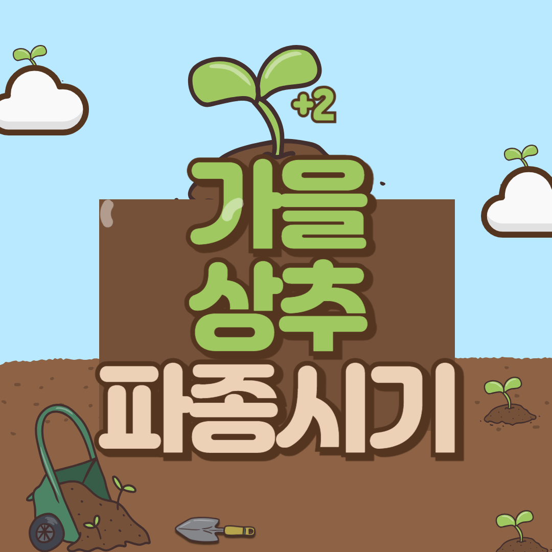 가을 상추 파종시기