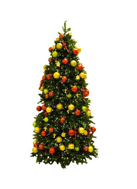 서울 크리스마스 트리 명소 총 정리