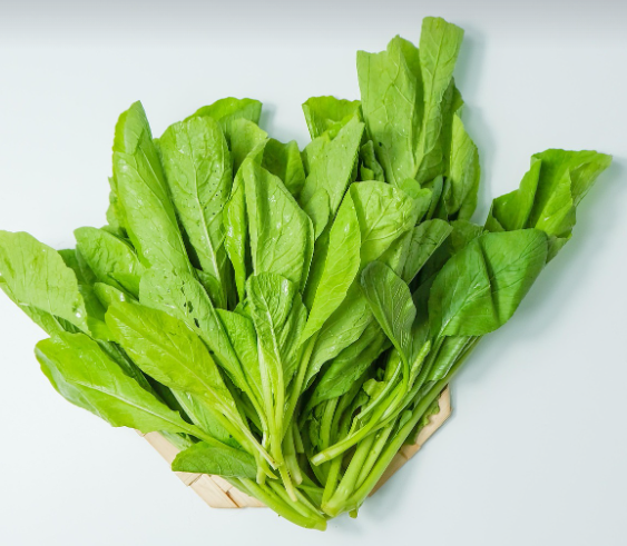 시금치의 모습