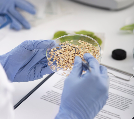 식품 첨가물 종류와 안전성 기준