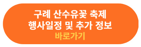 구례 산수유꽃 축제 정보 확인하기