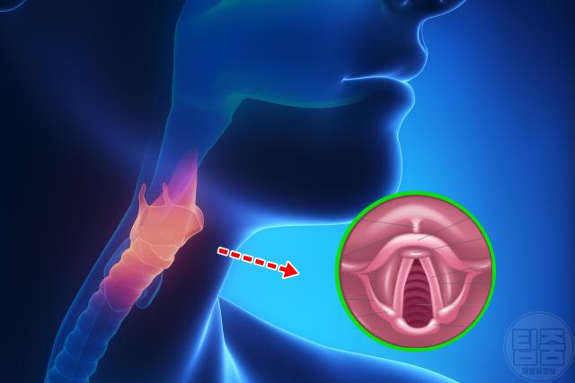 러닝 가슴통증 원인 성대 기능 장애