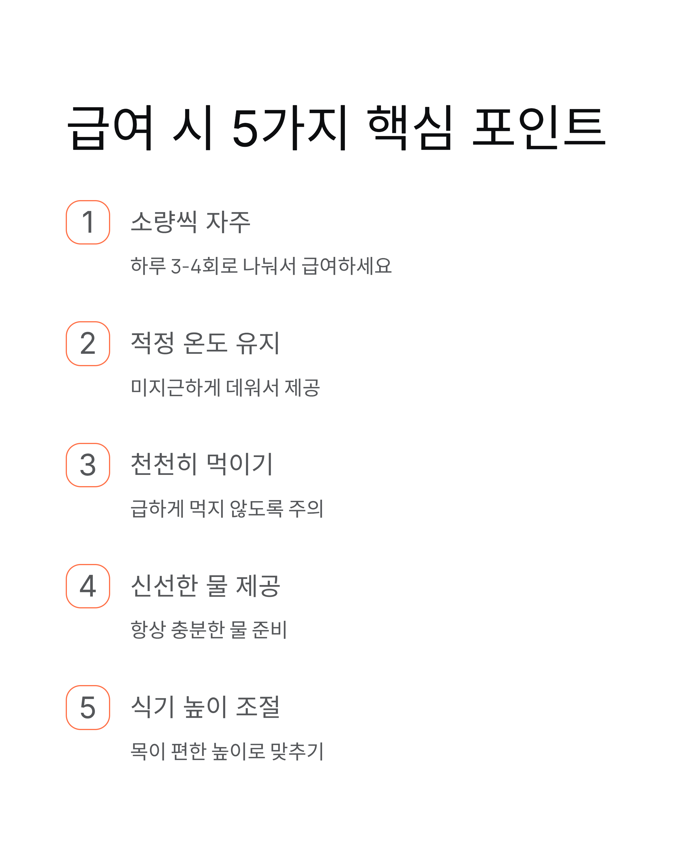 이빨없는 강아지 밥먹이기 - 노견 사료와 유동식 완벽 가이드! 🐶