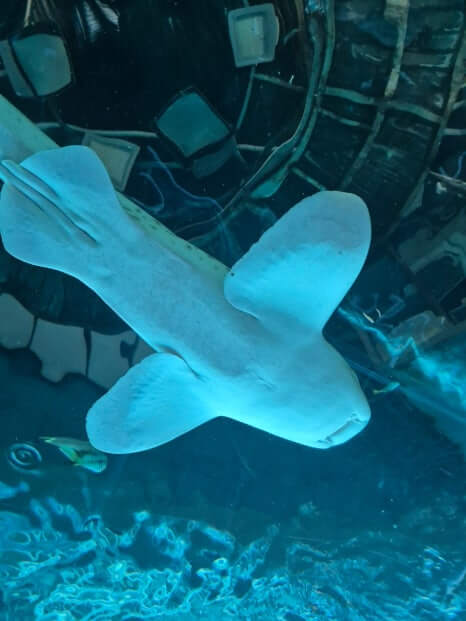 부산 아이랑 가볼만 한 곳