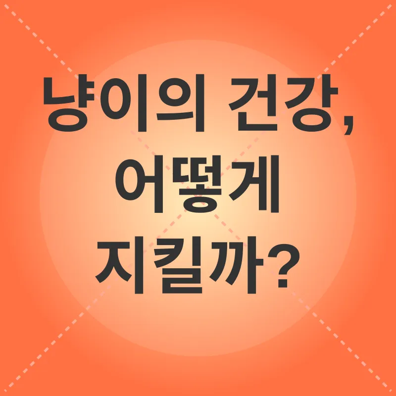 고양이 건강 관리_3