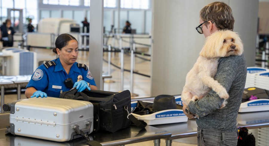 인천공항 반려동물 출국 관련 절차