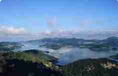 발왕산 케이블카 티켓 3분 완벽 구매법