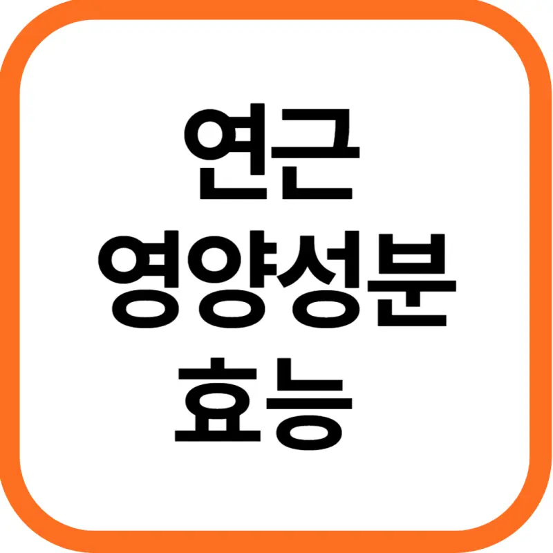 연근 효능 및 영양성분&#44; 부작용