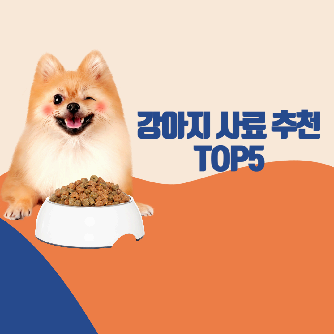 강아지 사료 추천 Top5