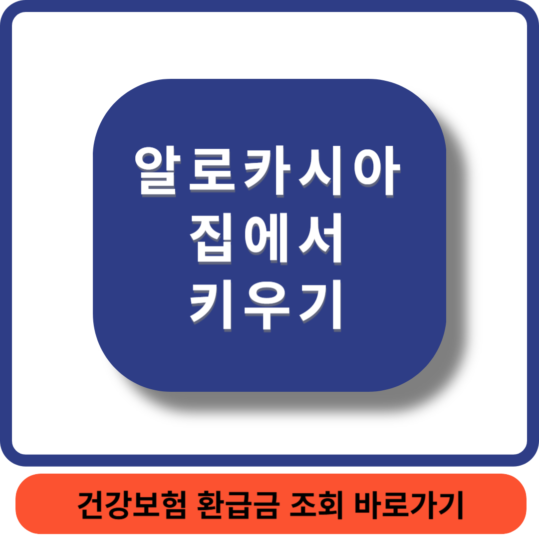 알로카시아썸네일