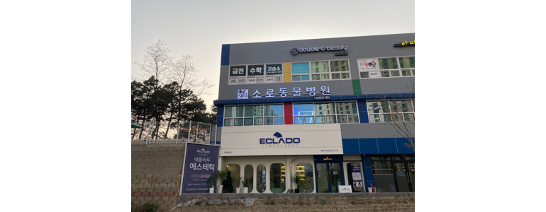 청주 흥덕구 동물병원