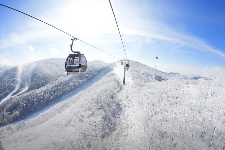 2025-26년 인기 스키장