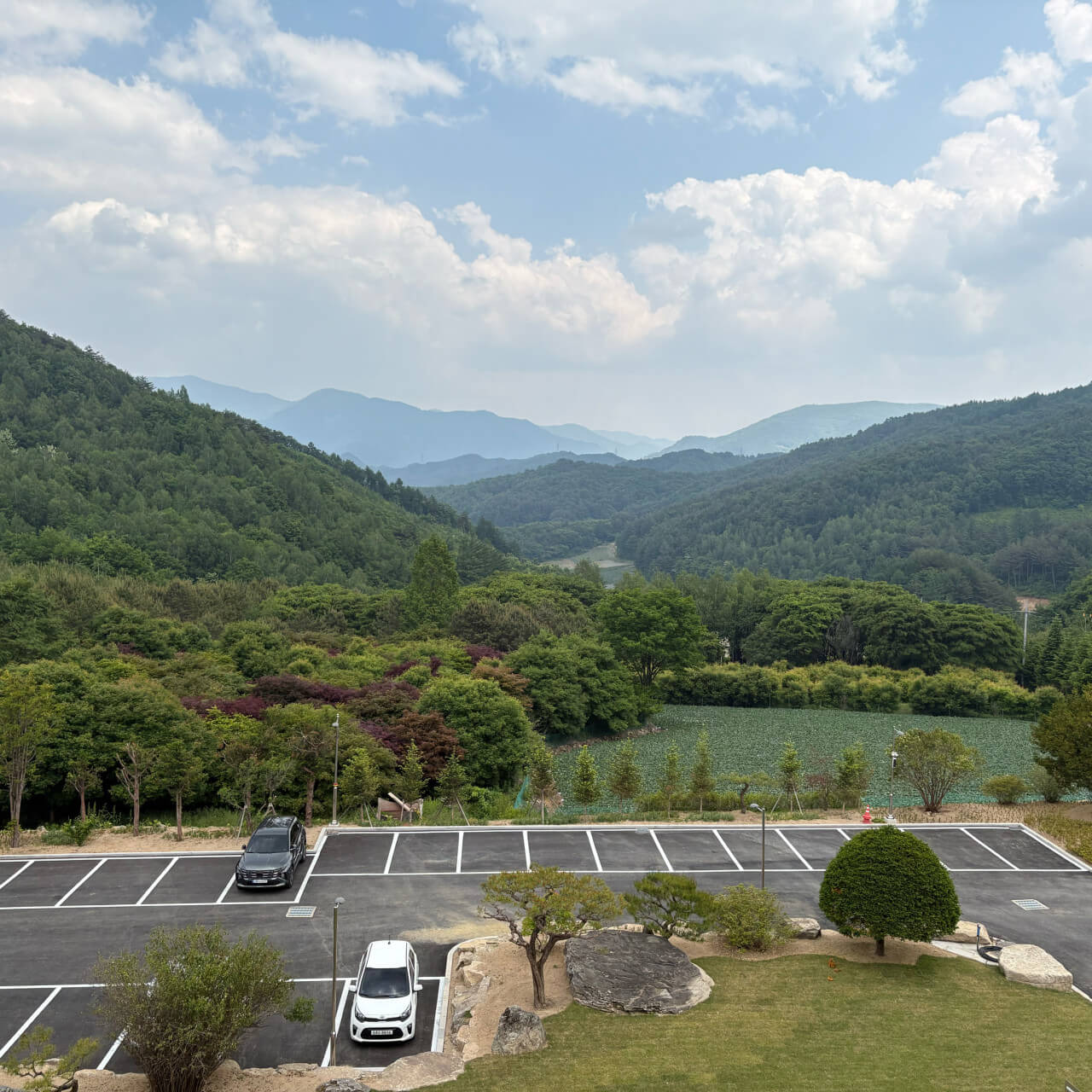 6시내고향 강원 평창 산나물 빵 감성 베이글 카페 거커리숲