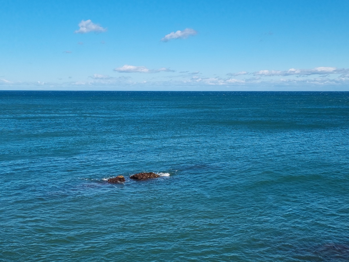 동해 가볼만한곳 천곡항 후기 ❘ 수상 레저와 감성돔 낚시, 작은 항구 매점