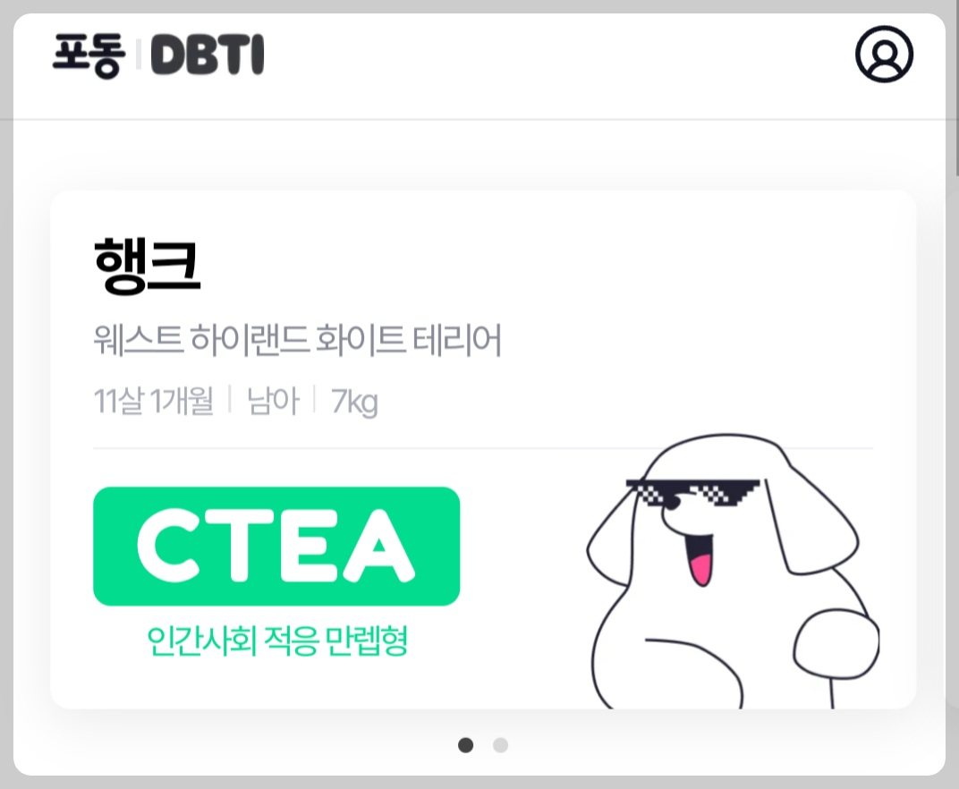 애견 강아지 MBTI 애견 DTBI 반려견성격 무료로 알아보세요