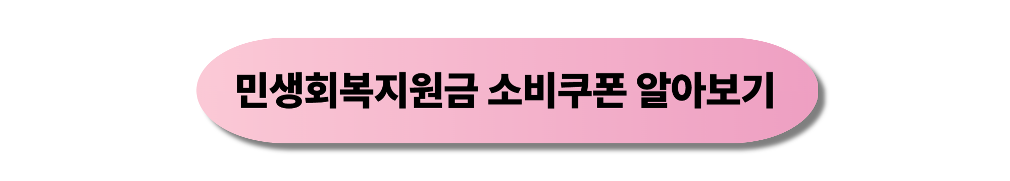 민생회복지원금 소비쿠폰