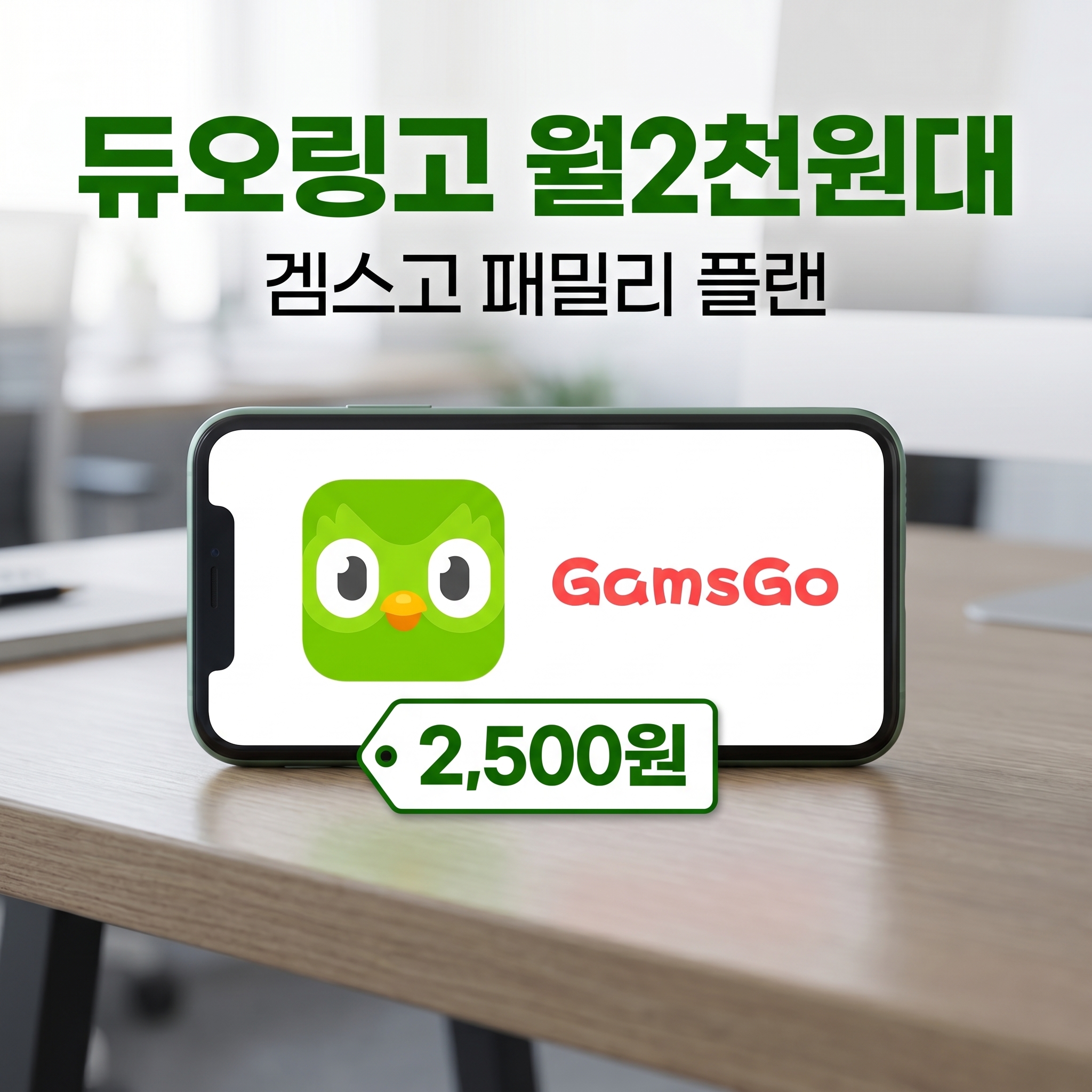 듀오링고를 겜스고에서 월 2천원대에 사용하세요