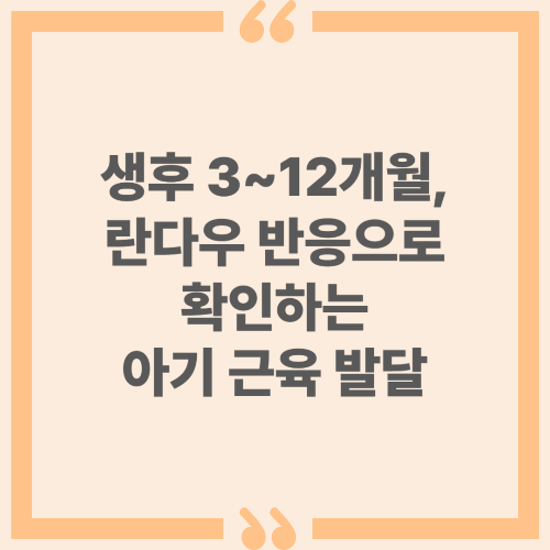 생후 3~12개월, 란다우 반응으로 확인하는 아기 근육 발달