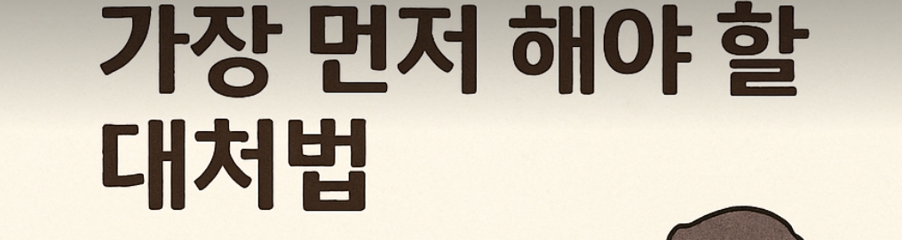 대장암 진단시 가장 먼저 해야할 대처법 설명