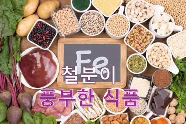 철분이 풍부한 식품