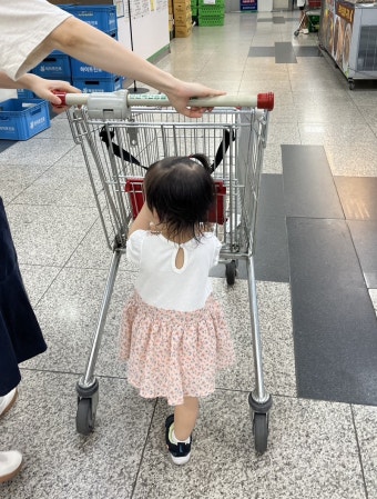 2025 추경 지역화폐 25만원 지원금, 내 지갑에 바로 들어오는 꿀팁 총정리!