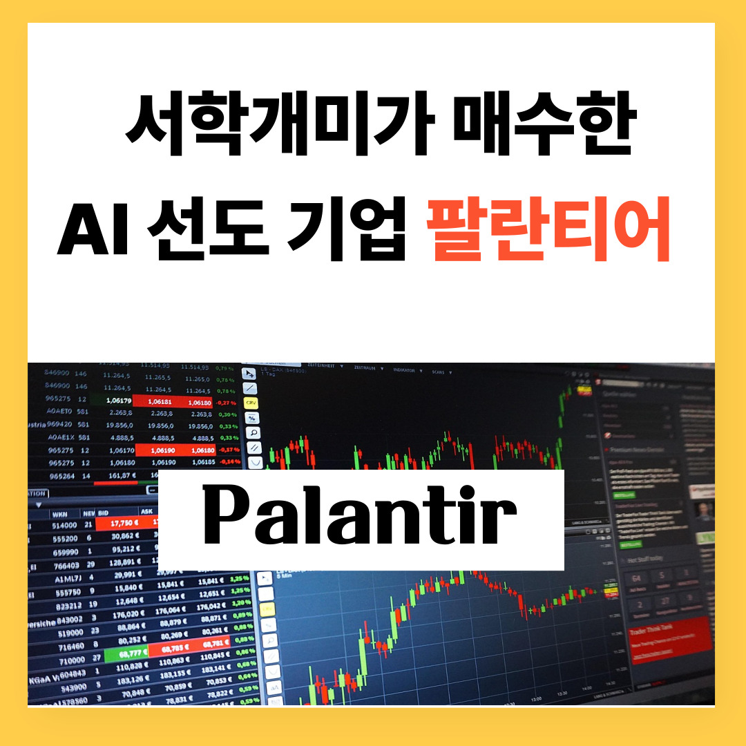 서학개미가 매수한 AI 선도 기업 팔란티어