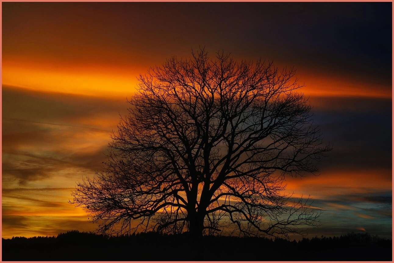 새마을금고 예금금리