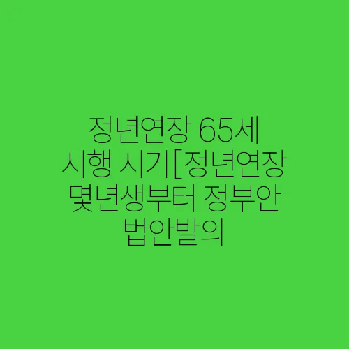 정년연장 65세 시행 시기[정년연장 몇년생부터 정부안 법안발의