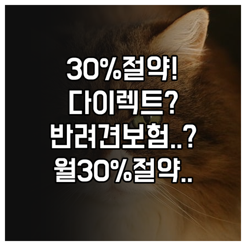 다이렉트 반려견 보험으로 월 30% ..