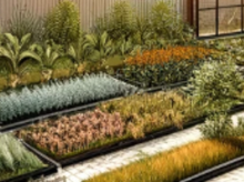 조경기능사-시험일정-필기-실기-합격률-공부방법