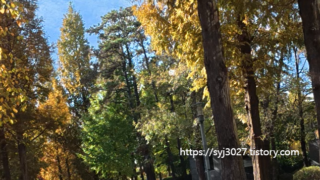 Alt 속성 문제 해결 설명 이미지