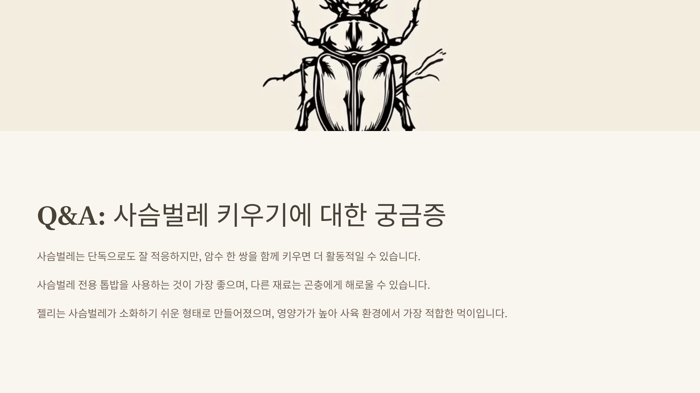 사슴벌레 사진입니다.