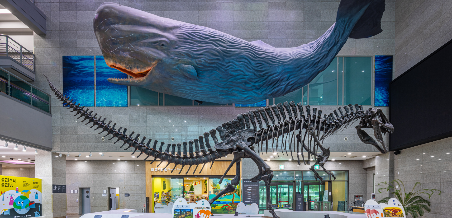 서대문자연사박물관 공룡전시