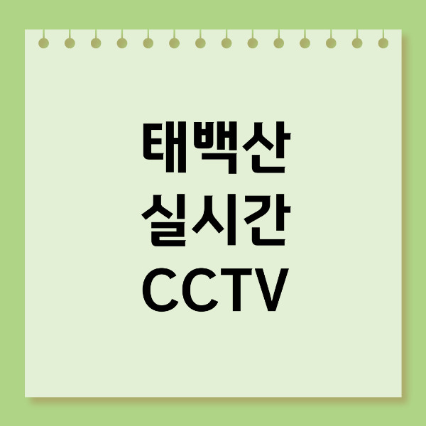 태백산 CCTV