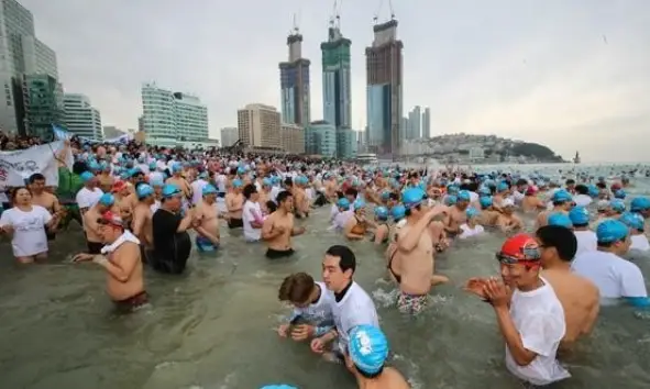 해운대 북극곰 수영대회 일정&middot;참가신청
