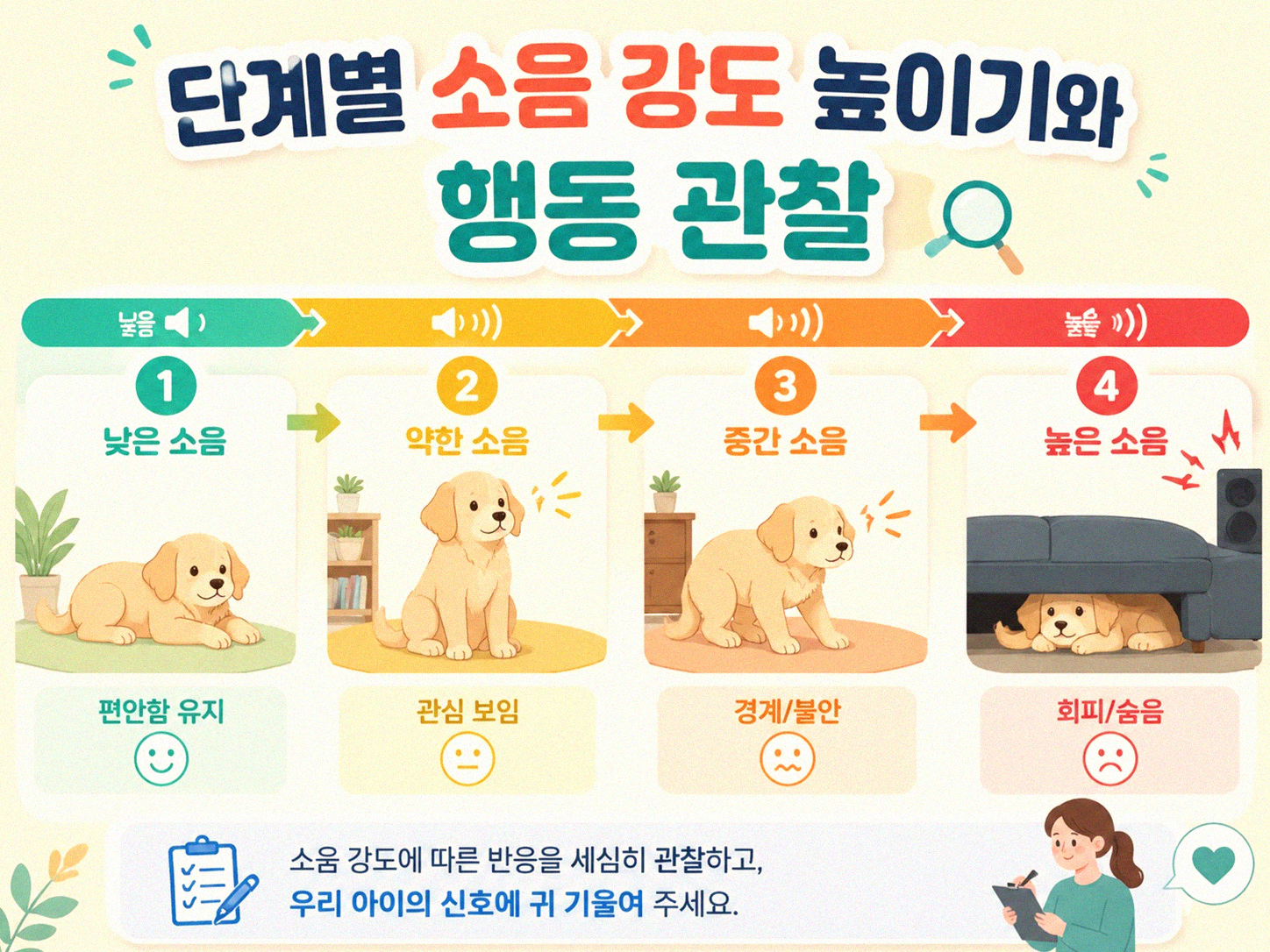 반려동물 드라이기 소리, 어떻게 적응시킬까