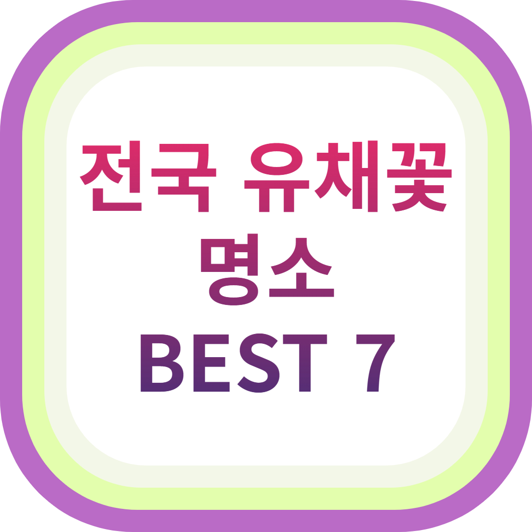 전국유채꽃명소 BEST7