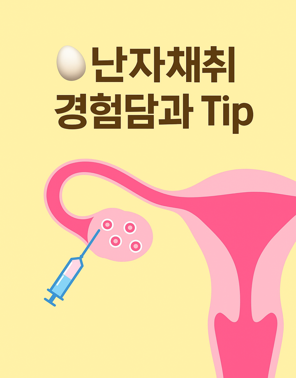 난자채취 경험담과 팁 사진