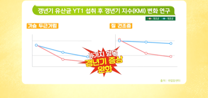 갱년기 유산균 YT1 섭취 후 변화