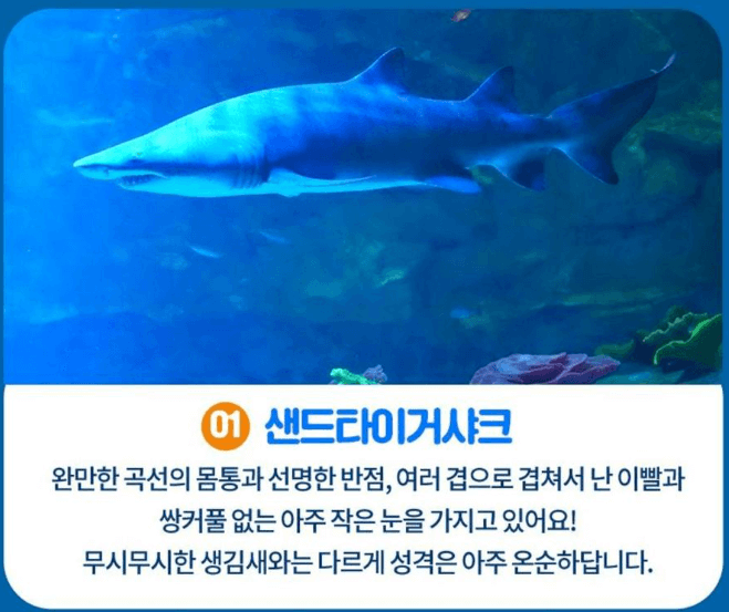 어린이날선물추천