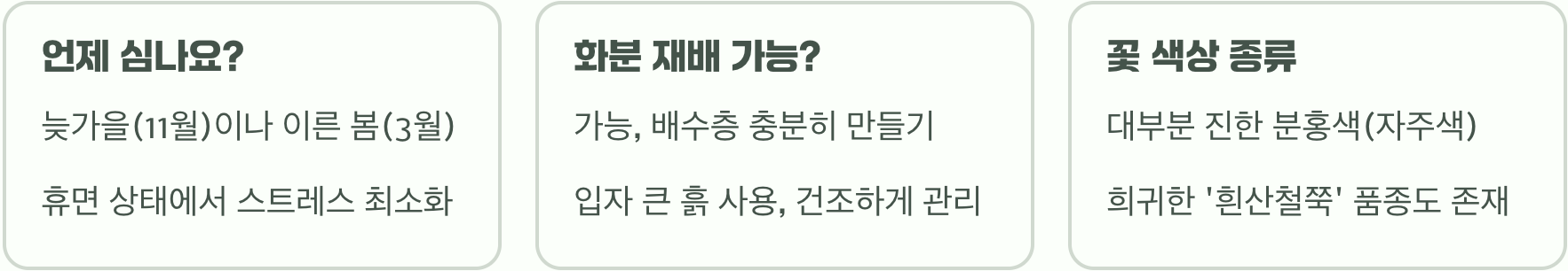 야생미 넘치는 산철쭉 키우기 A to Z (묘목 심기, 물주기, 가지치기 총정리)