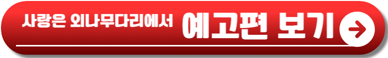 사랑은 외나무다리에서 재방송