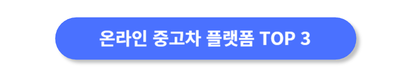 버튼