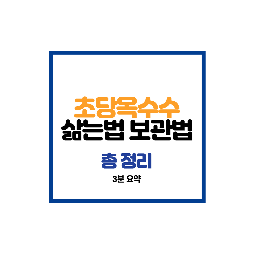 초당옥수수 삶는법과 보관법에 관한 썸네일