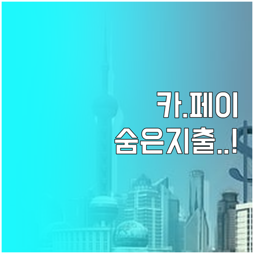 카카오페이 간편결제 사용내역 조회 및..