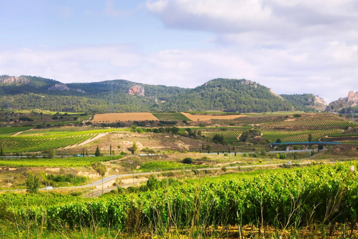 개발제한구역 지원 대상